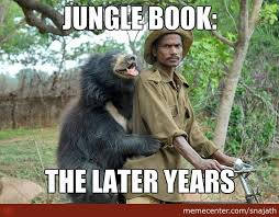 Pin By Seegeeartist On Funny Book Memes Jungle Book Books