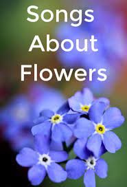 Soon to come also a. 68 Songs About Flowers Spinditty