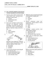 Contoh soal vektor bagian ii (analisis vektor). Soal Ipa Kelas 3
