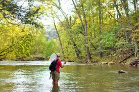Image result for trout fishing spots