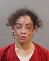 Tanner Wayne Campbell Arrested for Domestic Assault in Knox County