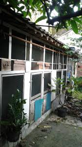 Teknik pengecasan ini memang membutuhkan waktu, apabila merasa cocok. Cara Beternak Anis Kembang Untuk Pemula