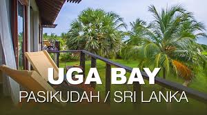 Uga Bay Pasicuda Sri Lanka Sri Lanka Places To Go Holiday Packaging