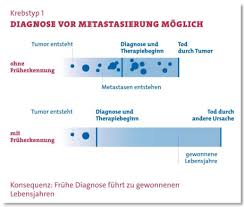 Stattdessen gründeten sich 1948 die vereinten nationen. Wenn Schon Daran Erkranken Wenigstens Krebs Fruh Erkennen Und Dadurch Zu Einem Zeitpunkt Entfernen Lassen Zu Dem Es Noch Leicht Geht Wer Wollte Das Nicht Der Gedankengang Ist Naheliegend Und Oft