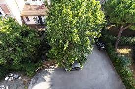 Via felice matteucci, 2, 50127 firenze (fi). Hotel Corolle Florenz Buchen Sie Jetzt