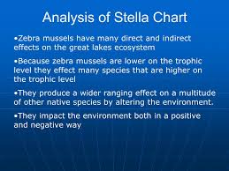Ppt Sea Lamprey Vs Zebra Mussels Powerpoint Presentation