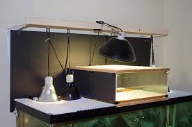 Proper Lighting For Your Turtle Habitat