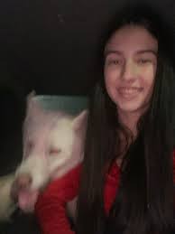 affordable vet in Lee's Summit?