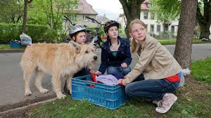Hundefanger Folge 17 Tiere Bis Unters Dach Ard Das Erste