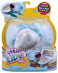 Little Live Pets Turtle Pearly Buy Online In Angola At Angola Desertcart Com Productid 33244437