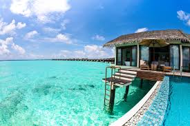 Maldives honeymoon packages from india 2015 is available with best quoted rates. Overwater Bungalow With A Pool The Maldives Overwater Bungalow The Maldives Turquoise Holidays Lu Overwater Bungalows Low Cost Vacation Maldives Honeymoon