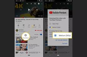 Countries Where You Can Download Youtube Videos Without Youtube Premium -  Countries Where You Can Download Youtube Videos Without Youtube Premium -  Ifunny | Memes, Youtube Videos, Ifunny