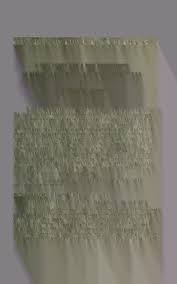 Image result for Dolichos junodii