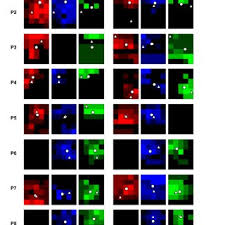Aimee Jennifer Nelson's research works