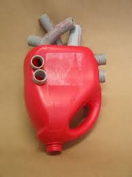 Recycled Heart From Plastic Recyclart Science Projects Science For Kids Animal Science