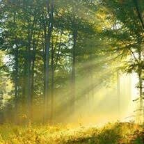 Kamel Lamont Armstrong Obituary