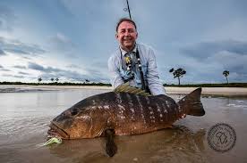 Image result for Phacelurus gabonensis