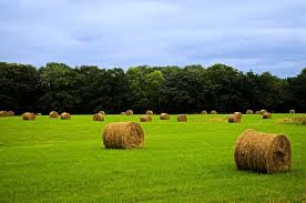 Pin By Gdti Mag On Terra Natura World Field Landscape Countryside