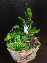 Check spelling or type a new query. Dalbol Flowers And Gifts Home Facebook