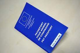 Tandis que la commission européenne promet un débat sur le sujet. Passeport Chien Utilite Contenu Ou Et Quand L Obtenir