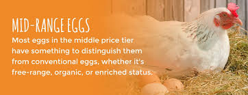 How much are organic eggs. How Much Should Eggs Cost You Sauder S Eggs