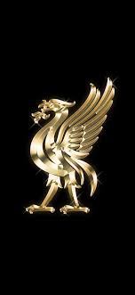 Use it in your personal projects or share it as a cool sticker on. Wallpaper Wednesdays Liverpoolfc