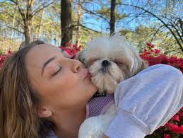 Trevor Simmons (@herestrevor) • Instagram photos and videos