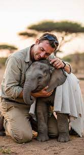 An orphaned baby elephant, lost in the quiet ache of loneliness, finds  comfort in the arms of the one person who never gave up on him. In this  tender moment, the rescuer