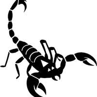 Over 400+ positive reviews on google, alone. Michael Feist Business Owner Scorpion Pest Termite Control Linkedin