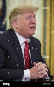 S corps photographer hi-res stock photography and images