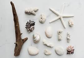 Whether you live at a beach, near a beach, or wish you did, this is the place to buy all of your nautical decor. Free Photo Beach Theme Decorations