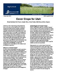 Cover Crops for Utah" by Kristie Buckland