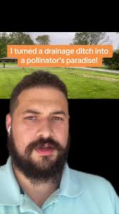 #greenscreen This is such an easy and affordable way to turn your drianage  ditch from an eyesore that is a pain to maintain AND serves no benefit, to  an oasis for native polinators, helping nature, ...