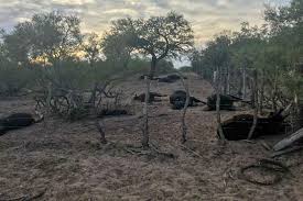 See more of rca prensa y comunicaciones mendoza on facebook. Rechazo De La Camara A Las Restricciones De San Luis Camara De Comercio Industria Y Agropecuaria De San Rafael Mendoza