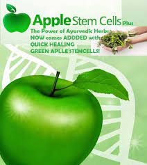 Apple stem cells are super unique technology, in they have the ability to go through numerous cycles and cell divisions while maintaining and repair skin tissue. Green Apple Stemcell Home Facebook
