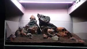 Aquascape With Lava Rock Aquarium Aquascape Tanked Aquariums