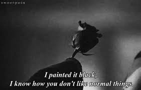 American Horror Story Black Dahlia Ahs I Painted It Black I Know How You Don T Like Normal Things American Horror Story American Horror Story Quotes American Horror Story 3 American Horror