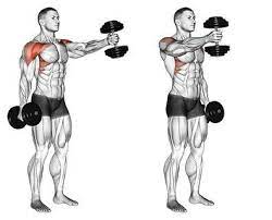 Check spelling or type a new query. Standing Alternate Vertical Dumbbell Front Raises Shoulder Workout Biceps Workout Weight Training Workouts