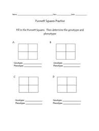 The punnett square is a square diagram that is used to predict the genotypes of a particular cross or breeding experiment. Punnett Squares Blank Templates By Vicki The Science Lady Tpt