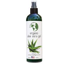 They prefer to have sandy soil and not let the soil stay wet to long. Aloe Vera Uses 12 Things You Can Do With Aloe Vera Gel