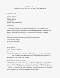 Any member of a company can write a job offer letter. This Sample Letter Is Suitable For Most Job Offers