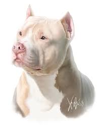White Red Pitbull Portrait By Redeyeddemon On Deviantart Red Pitbull Pitbull Art Pitbull Terrier
