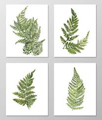 One of the many ways we express ourselves is through wall art. Fern Art A074 Set Of 4 Art Prints 8x10 Fern Wall Art Fern Picture Botanical Art Botanical Prints Wall Art Nature Art Botanical Painting Nature Art Nature Wall Art Green Wall Art Green Decor Buy Online In South Africa