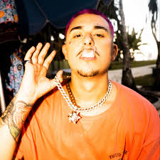 ベルナルト: アルバム、曲、プレイリスト