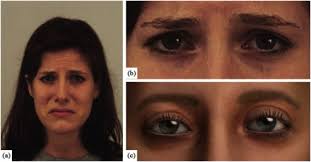Virtual eye region: development of a realistic model to convey emotion