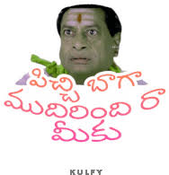 Ravi Telugu traveller