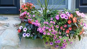 Pin On Home Garden Ideas