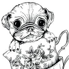 Pugs, puggle wuggle, bad boy, fat cat. Baby Pug Coloring Pages Coloring Home