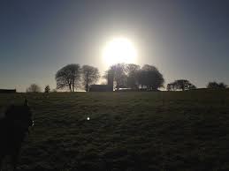 Some place his birth as early as 371 or as late as 387, and some his death as early as 461 or as late as 493). Saint Patrick Wikiquote