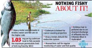 Check spelling or type a new query. Krishna River Water Fish Contaminated By Heavy Metals Vijayawada News Times Of India